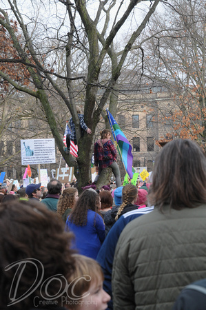 Women's March Ann Arbor, MI